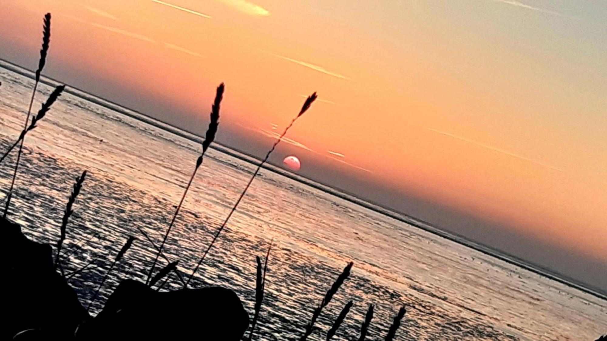 Ferienwohnungen-Im-Koog Wesselburenerkoog Dış mekan fotoğraf